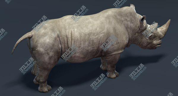 images/goods_img/20210312/Rhino Family (Rigged) model/5.jpg
